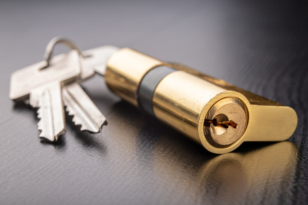 Brass lock cylinder with keys for emergency security