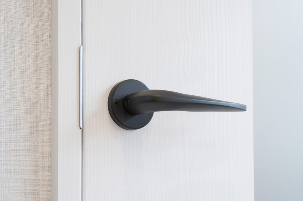 Modern black handle on white door
