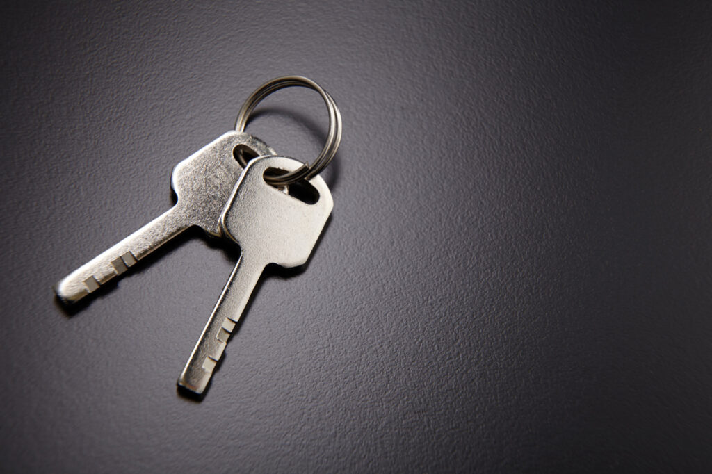 Keys for emergency door lock access