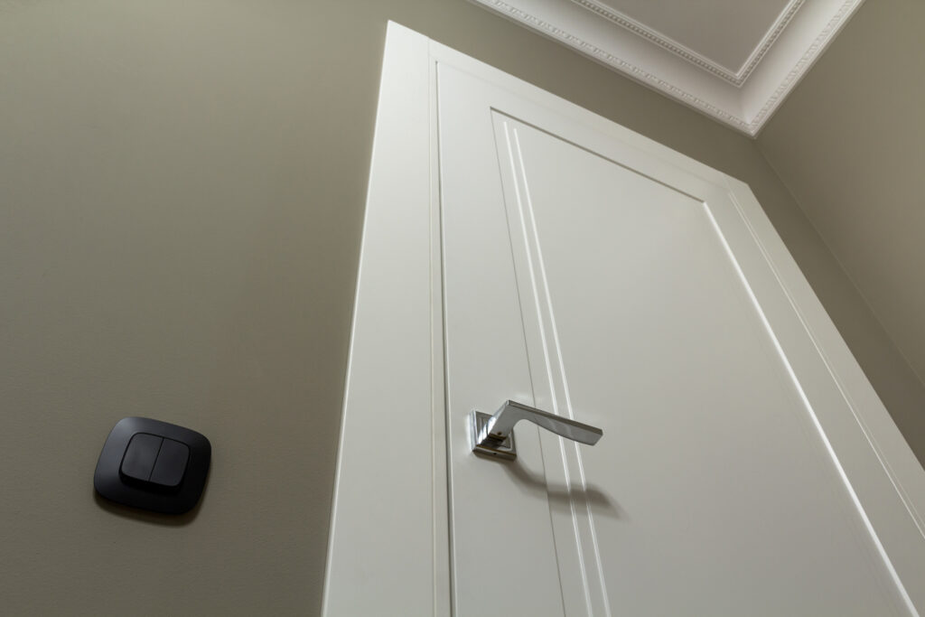 White interior door and modern handle
